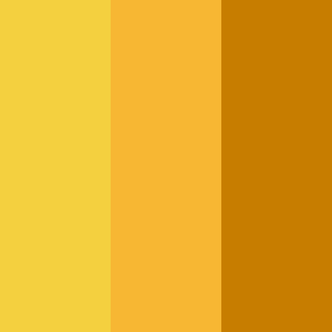 Download sunrise training color palette PNG image (square)