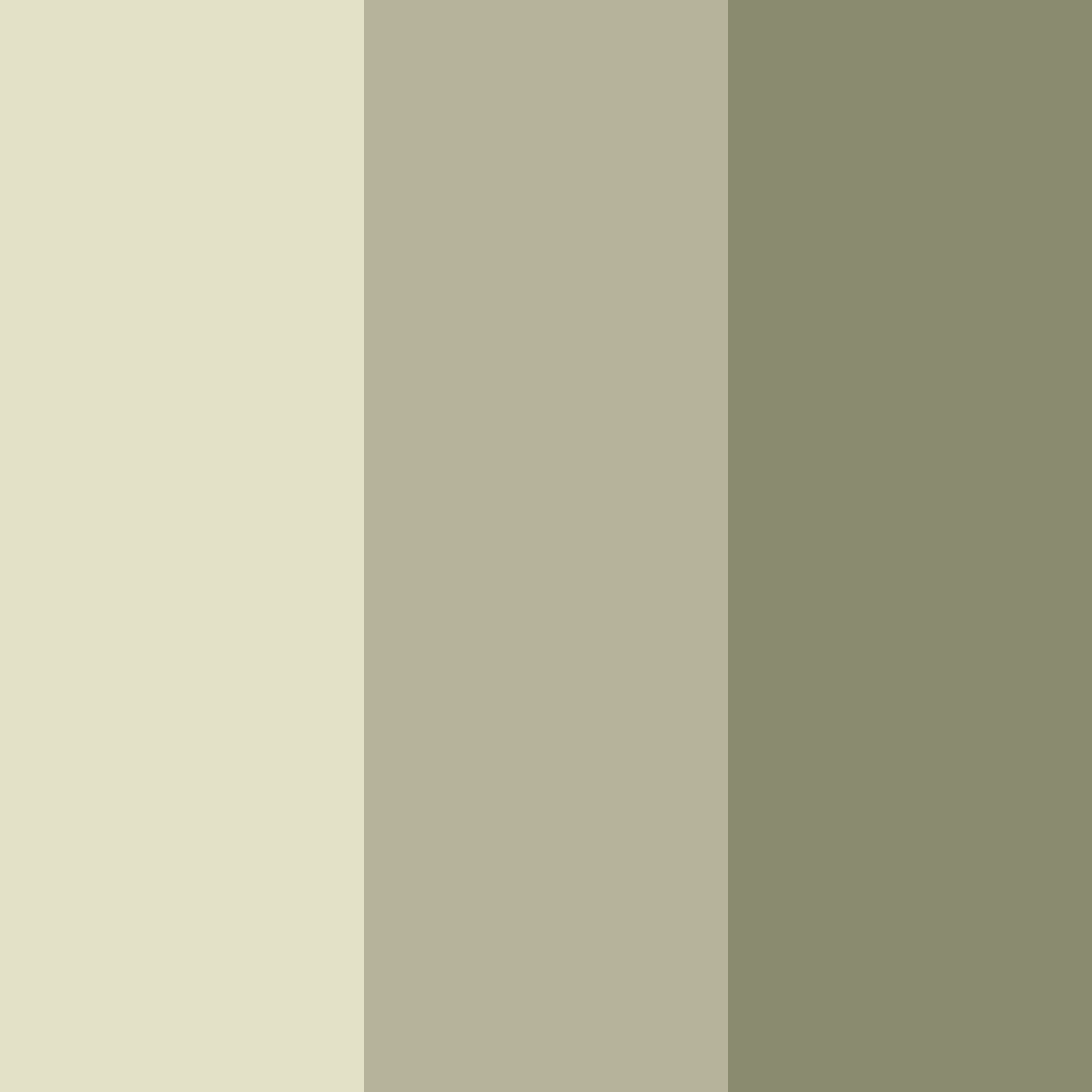Download whispering sage color palette PNG image (square)