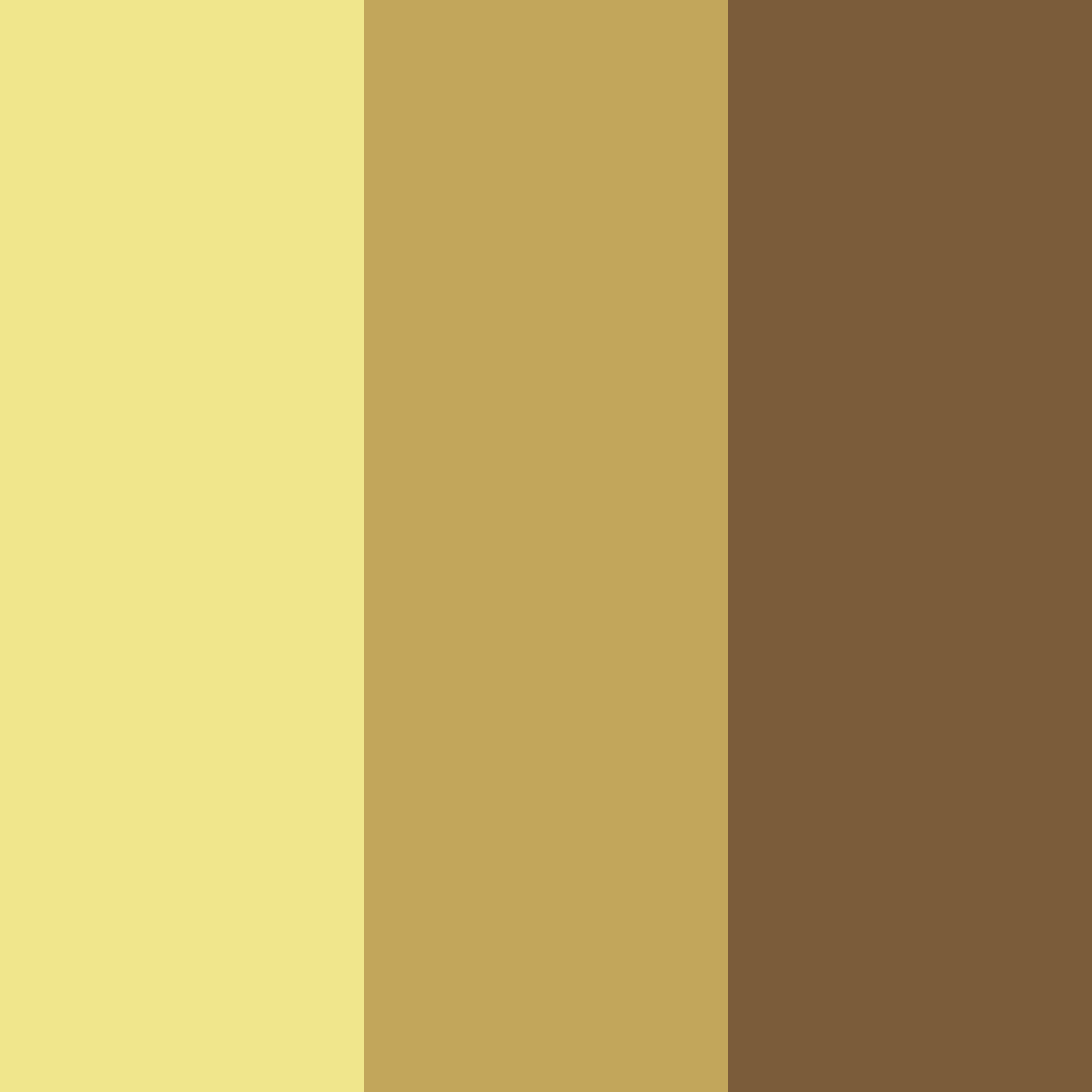 Download sunlit earthtones color palette PNG image (square)