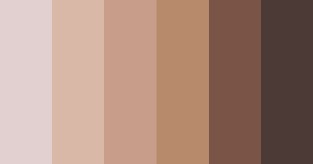 Download brown cappuccino color palette PNG image (landscape)