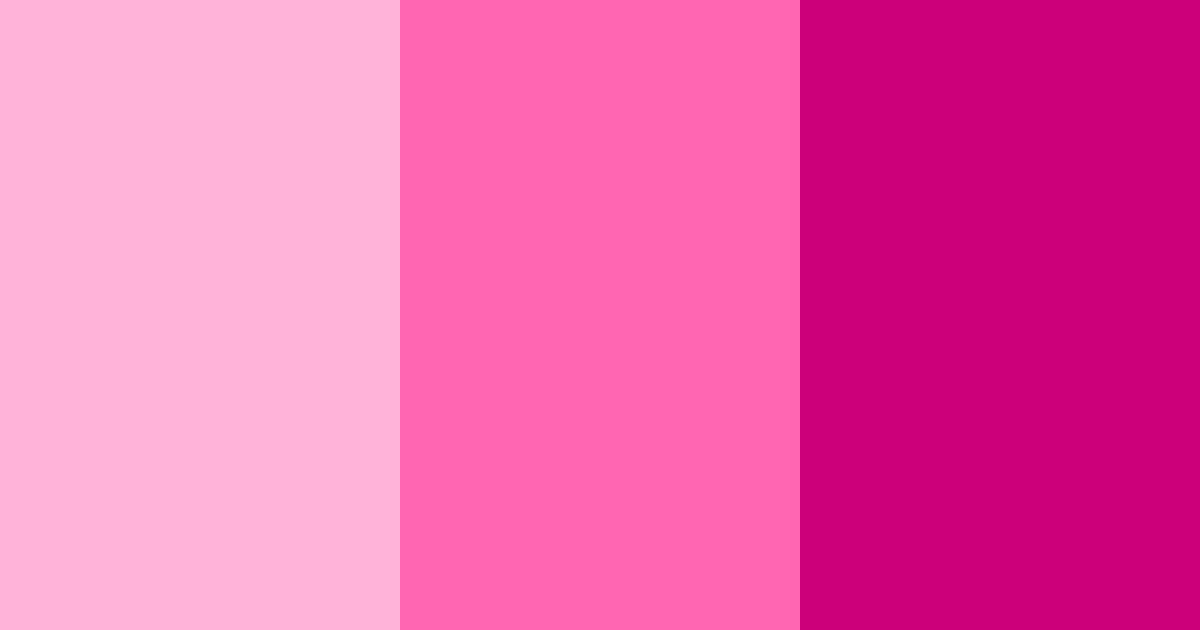 Download blossom burst color palette PNG image (landscape)