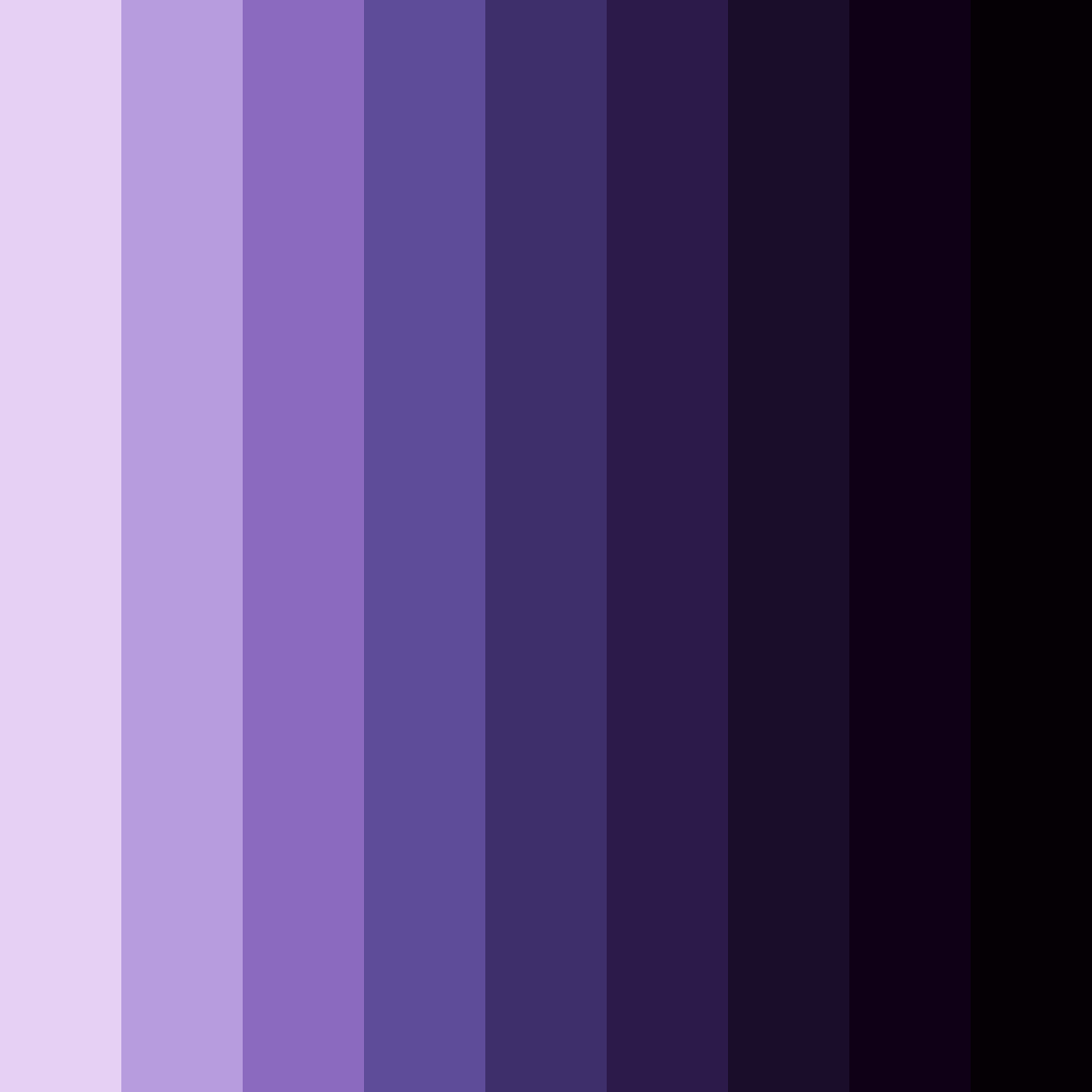 Download midnight amethyst skyline color palette PNG image (square)