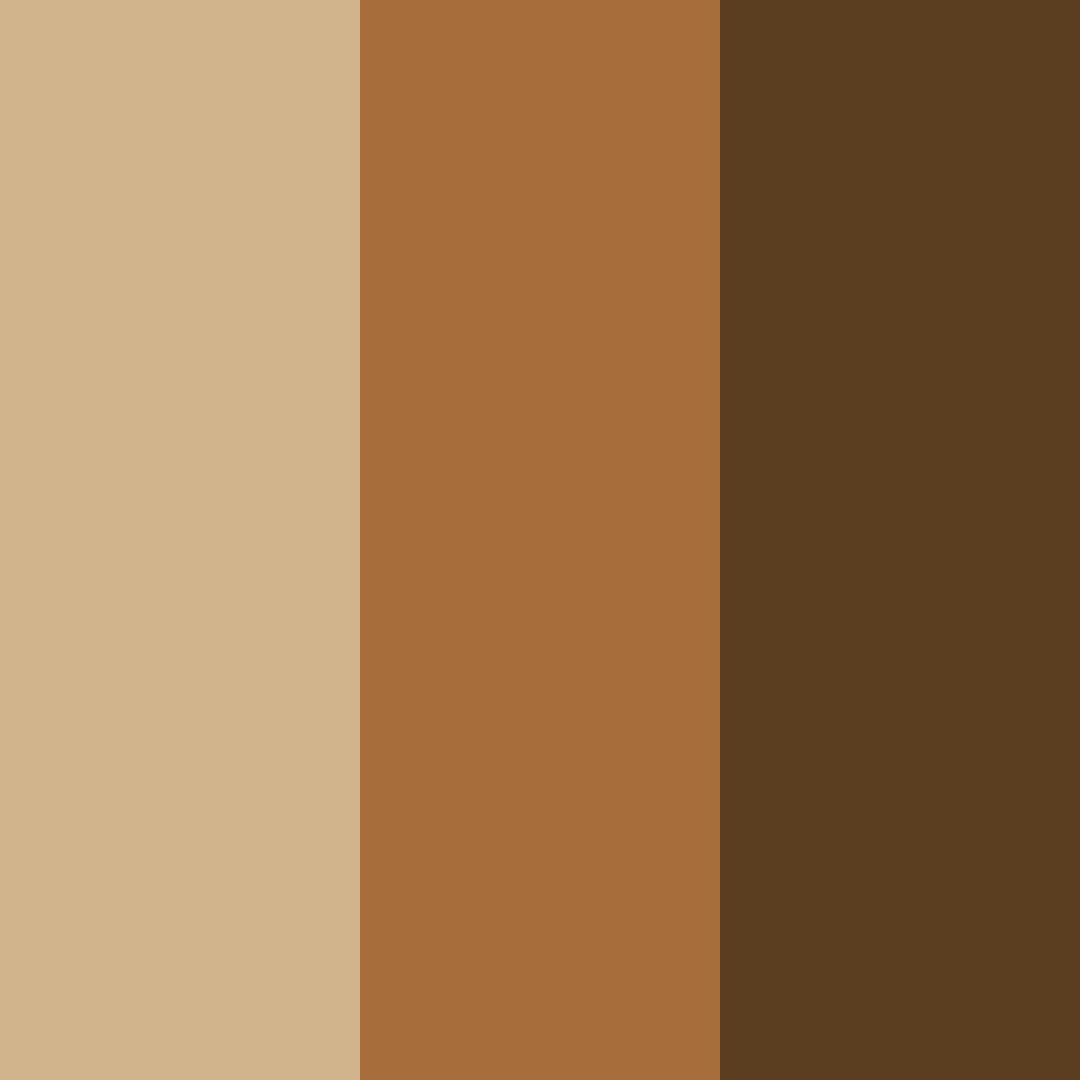Download brown wood color palette PNG image (square)