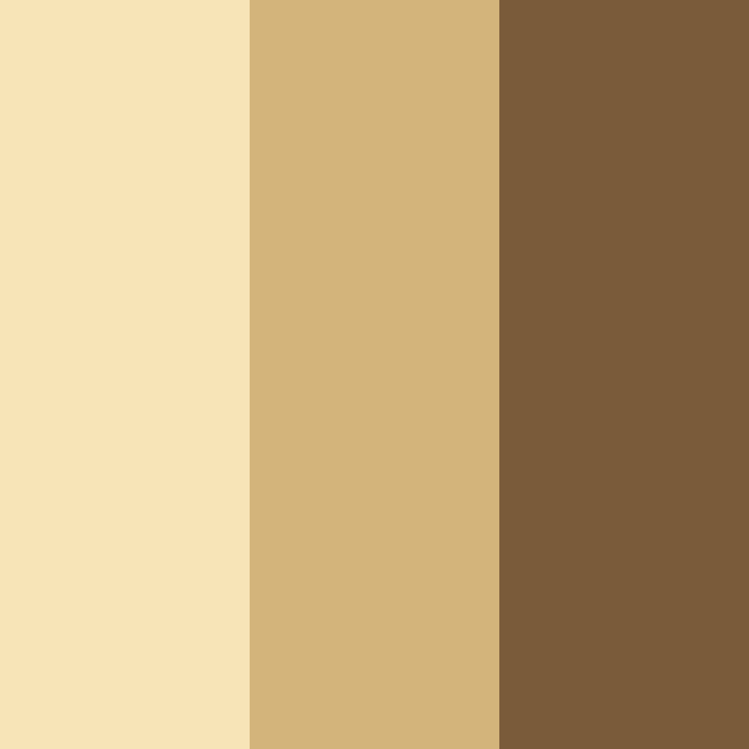 Download warm hearth harmony color palette PNG image (square)