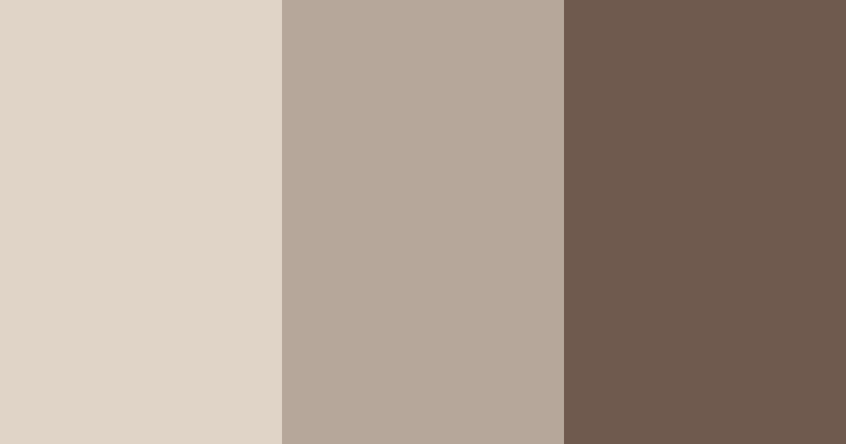 Download muted brown color palette PNG image (landscape)