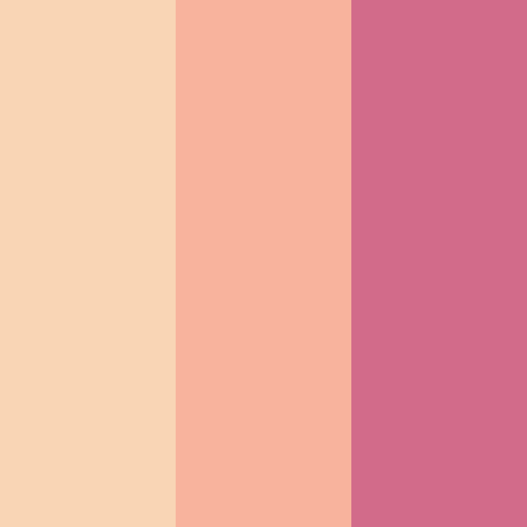Download pink cake color palette PNG image (square)