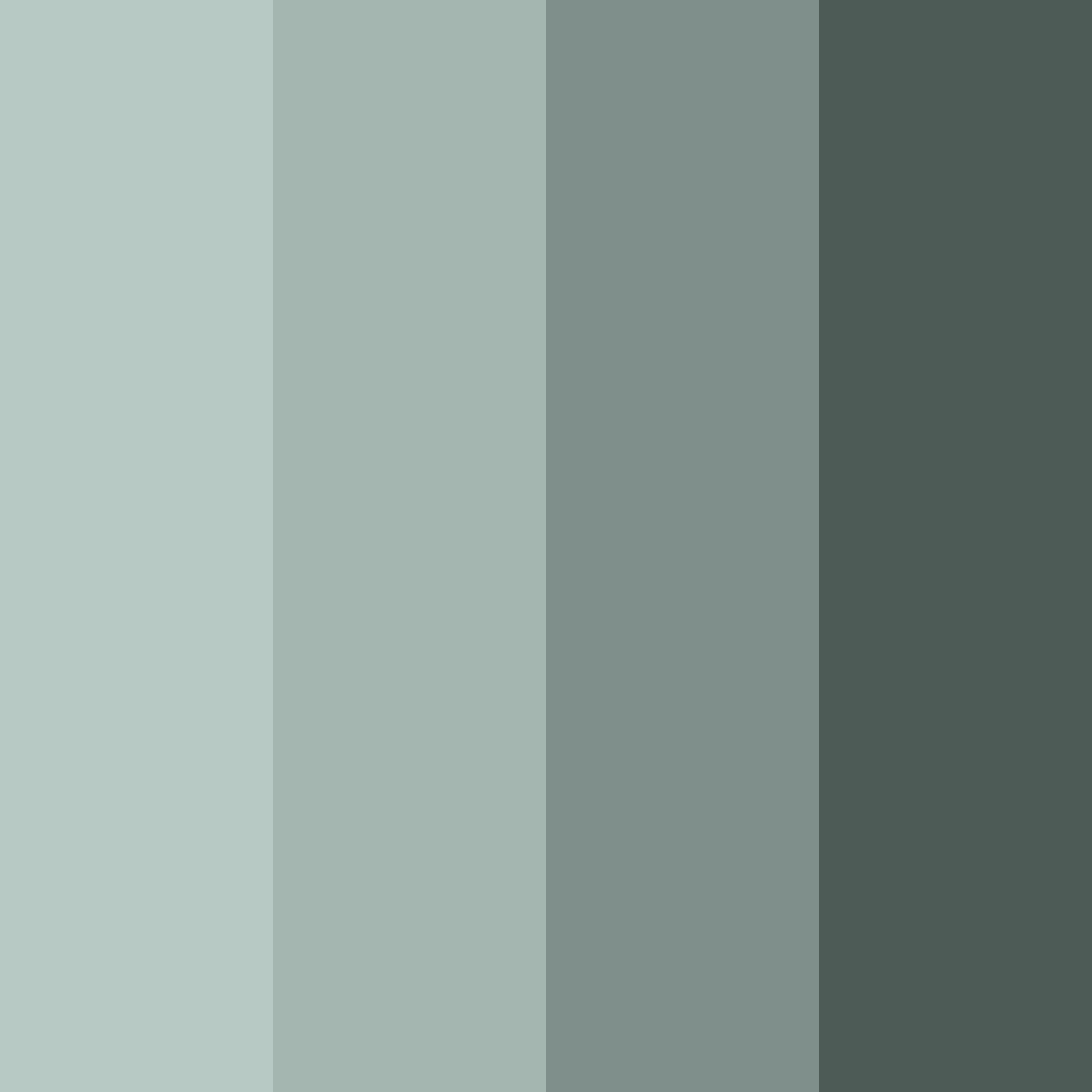 Download misty forest embrace color palette PNG image (square)