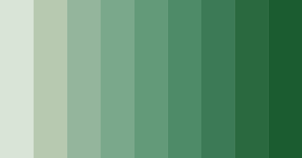 Download whispering forest color palette PNG image (landscape)