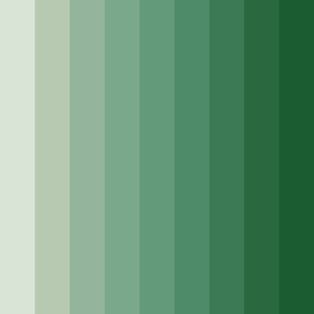 Download whispering forest color palette PNG image (square)