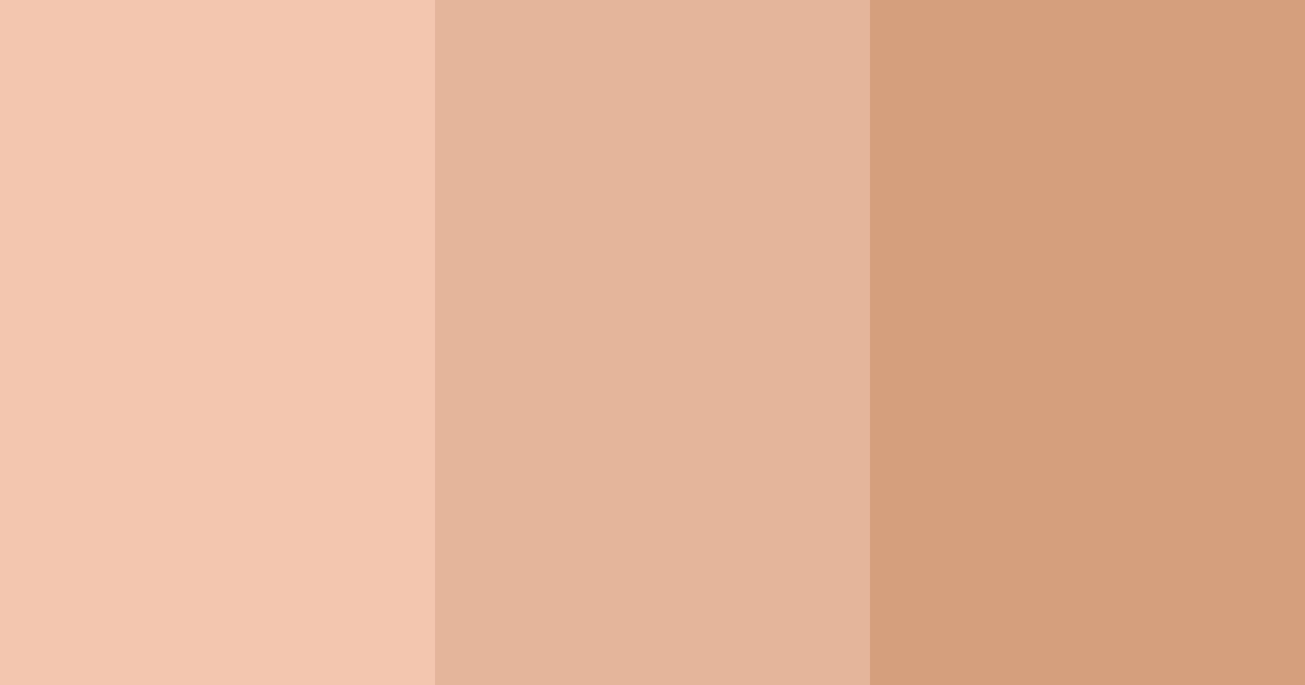 Download peachy tan color palette PNG image (landscape)