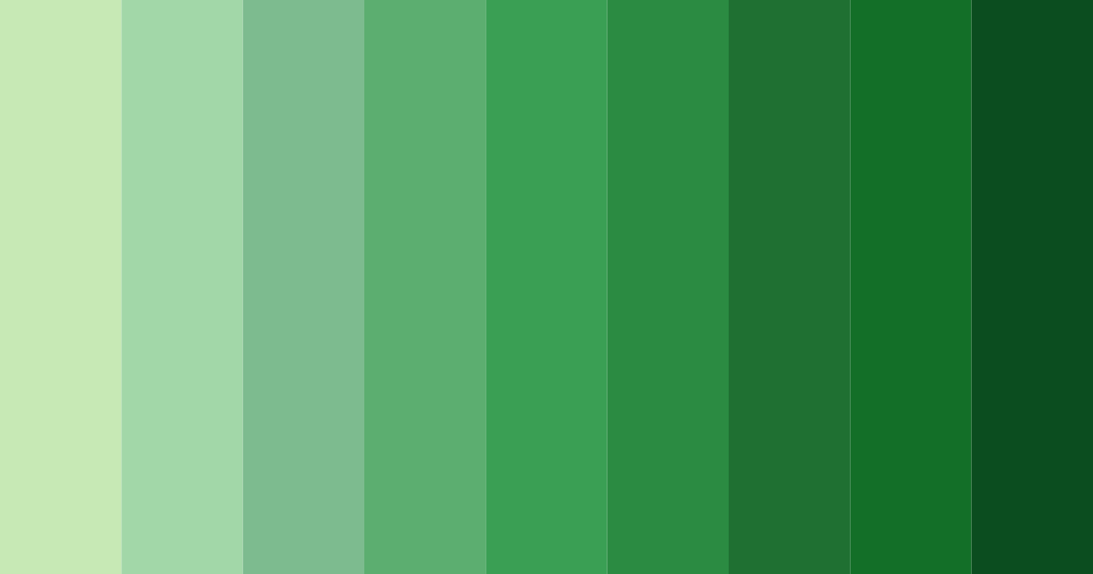 Download emerald geometric grove color palette PNG image (landscape)