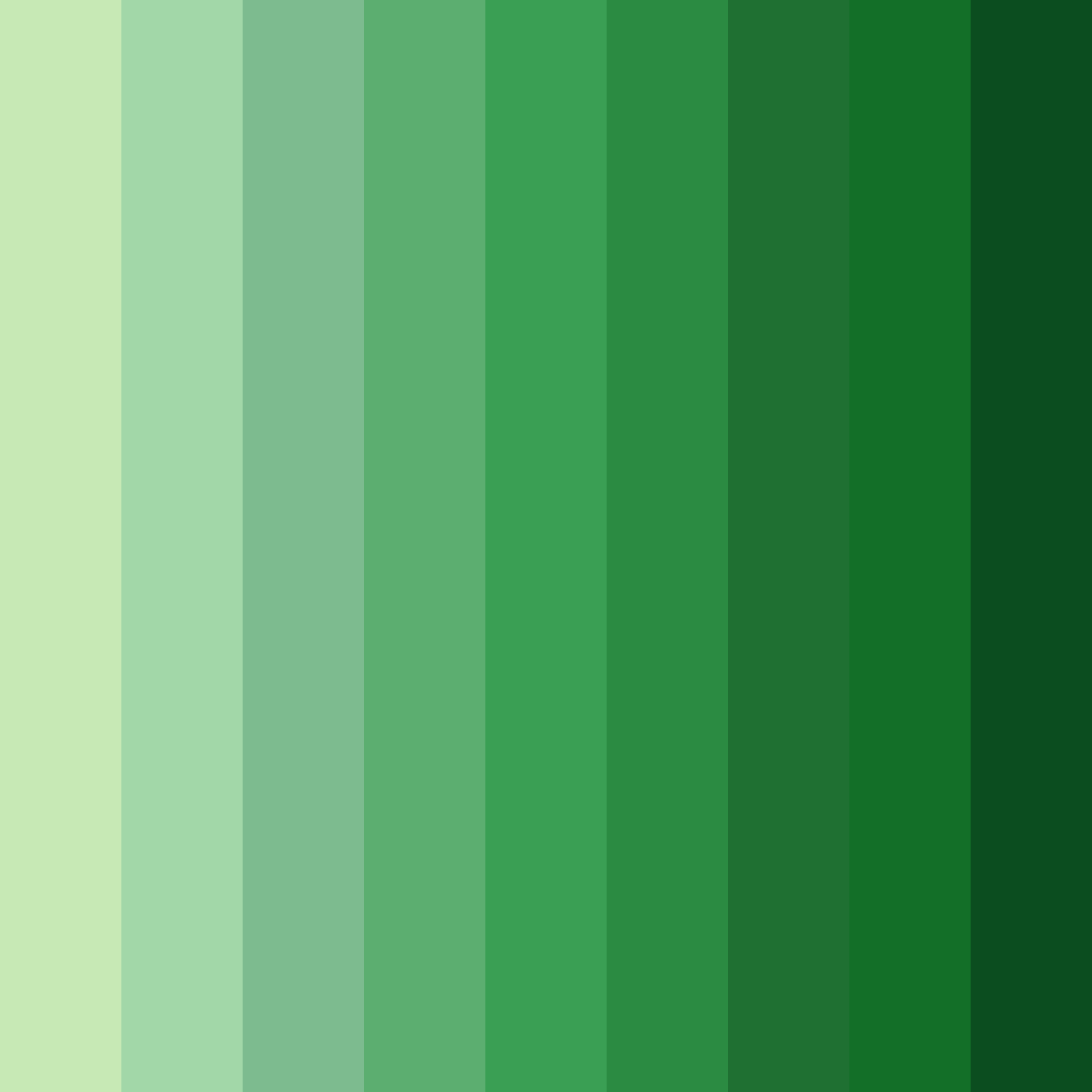 Download emerald geometric grove color palette PNG image (square)