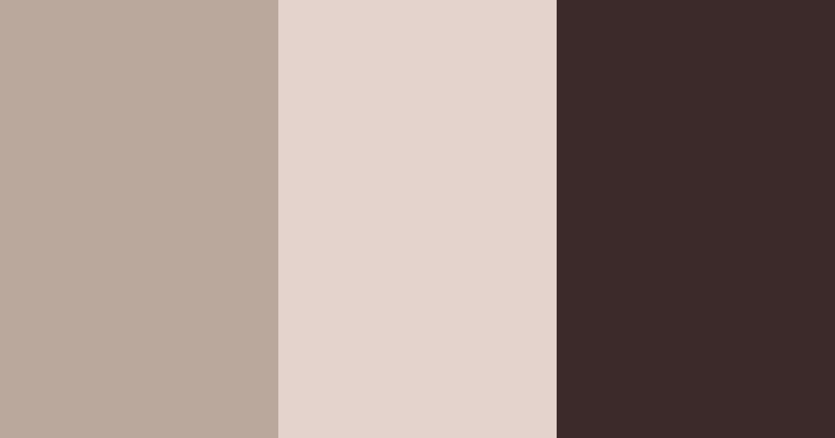 Download dark brown color palette PNG image (landscape)