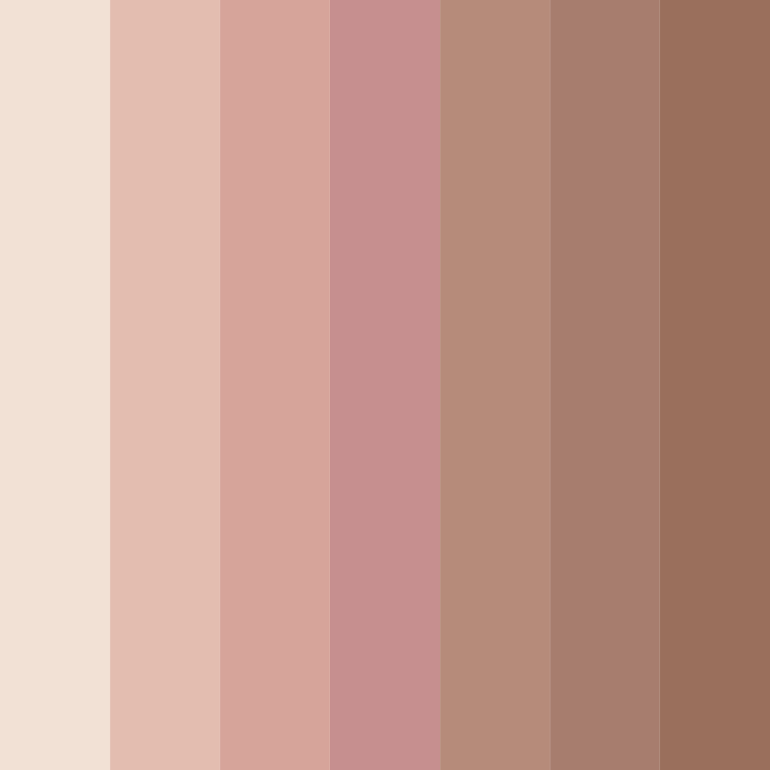 Download warm earth embrace color palette PNG image (square)
