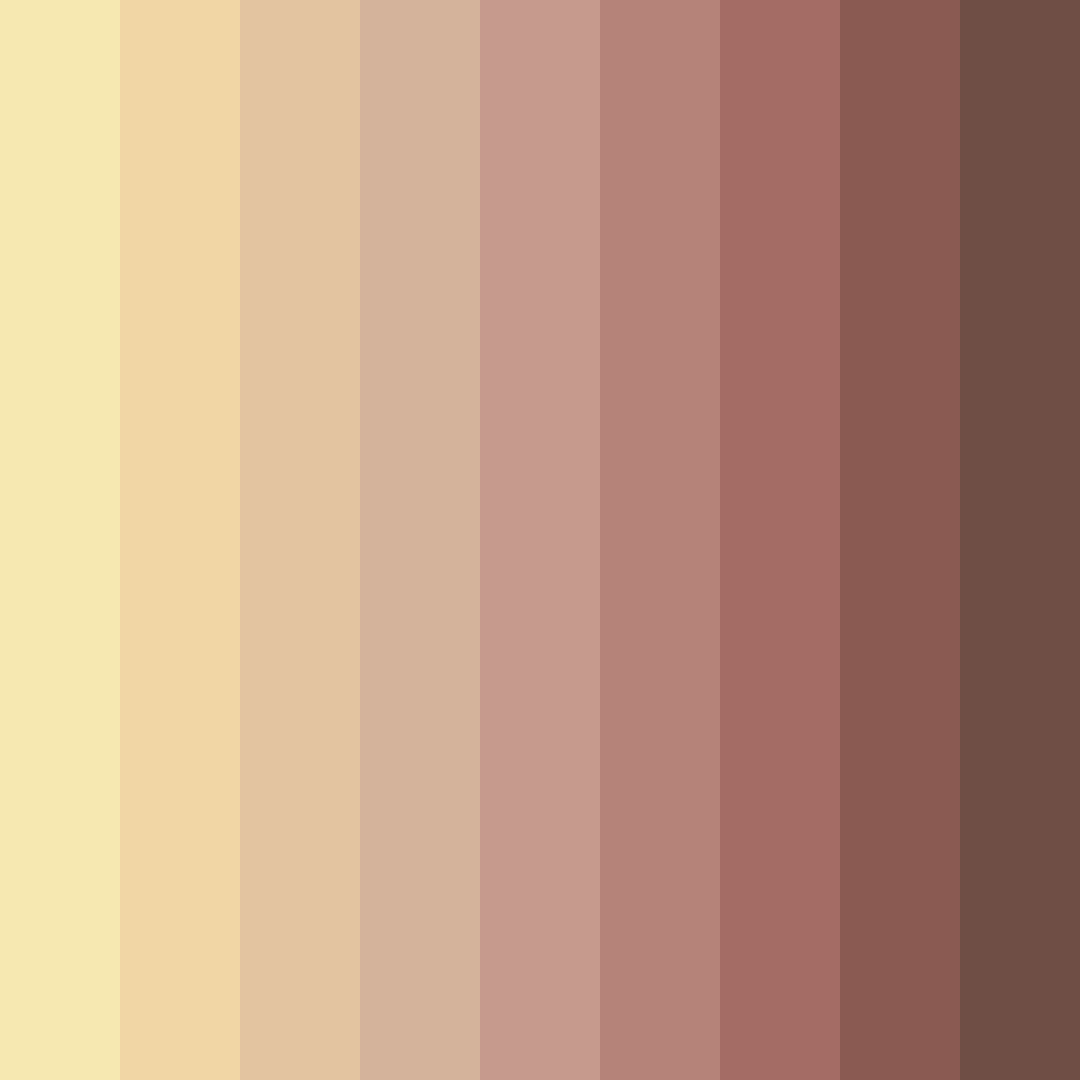 Download earthy brown color palette PNG image (square)