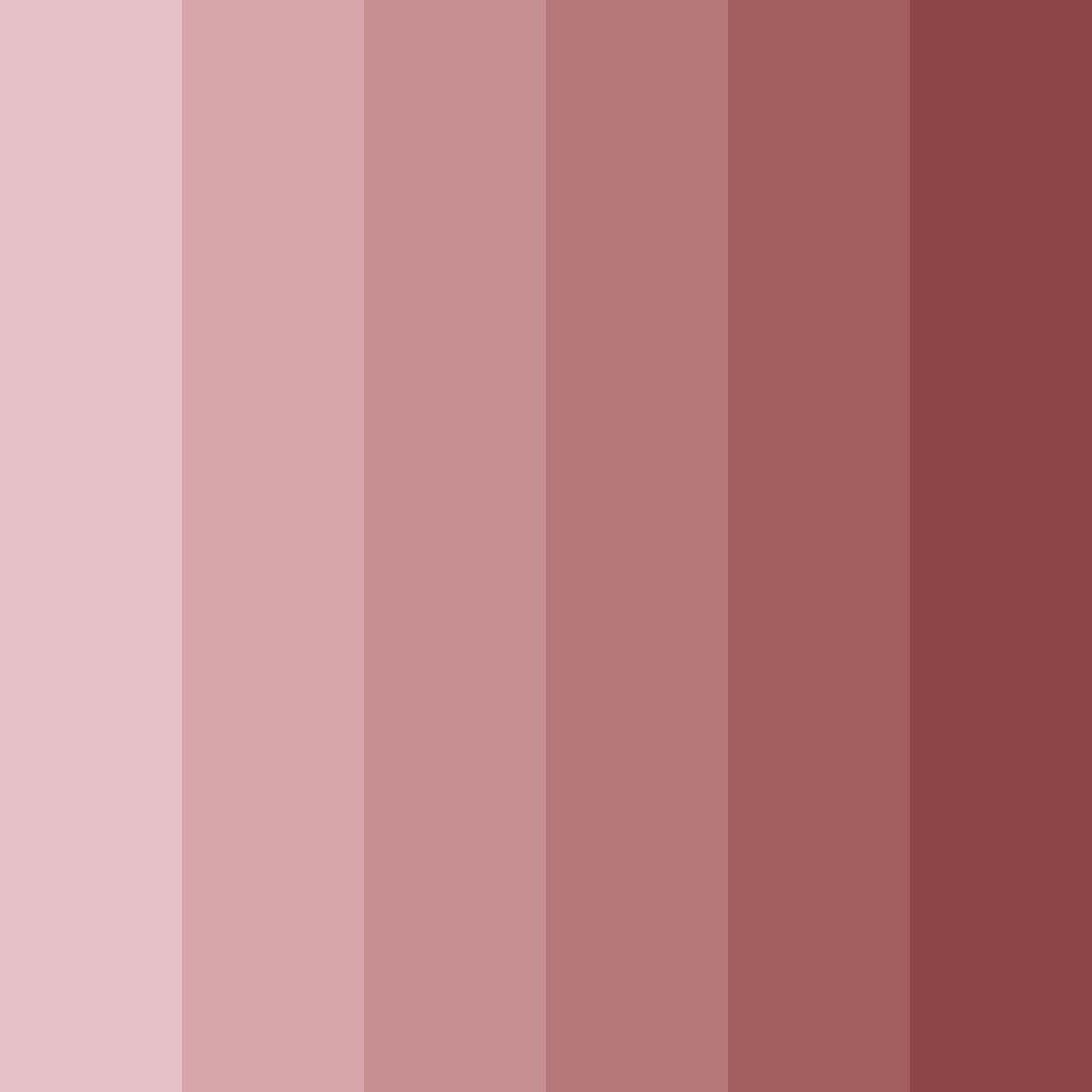Download dried rose elegance color palette PNG image (square)