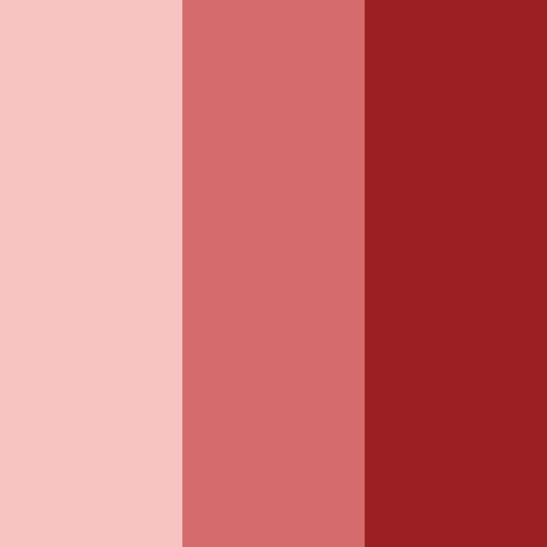 Download deep red color palette PNG image (square)