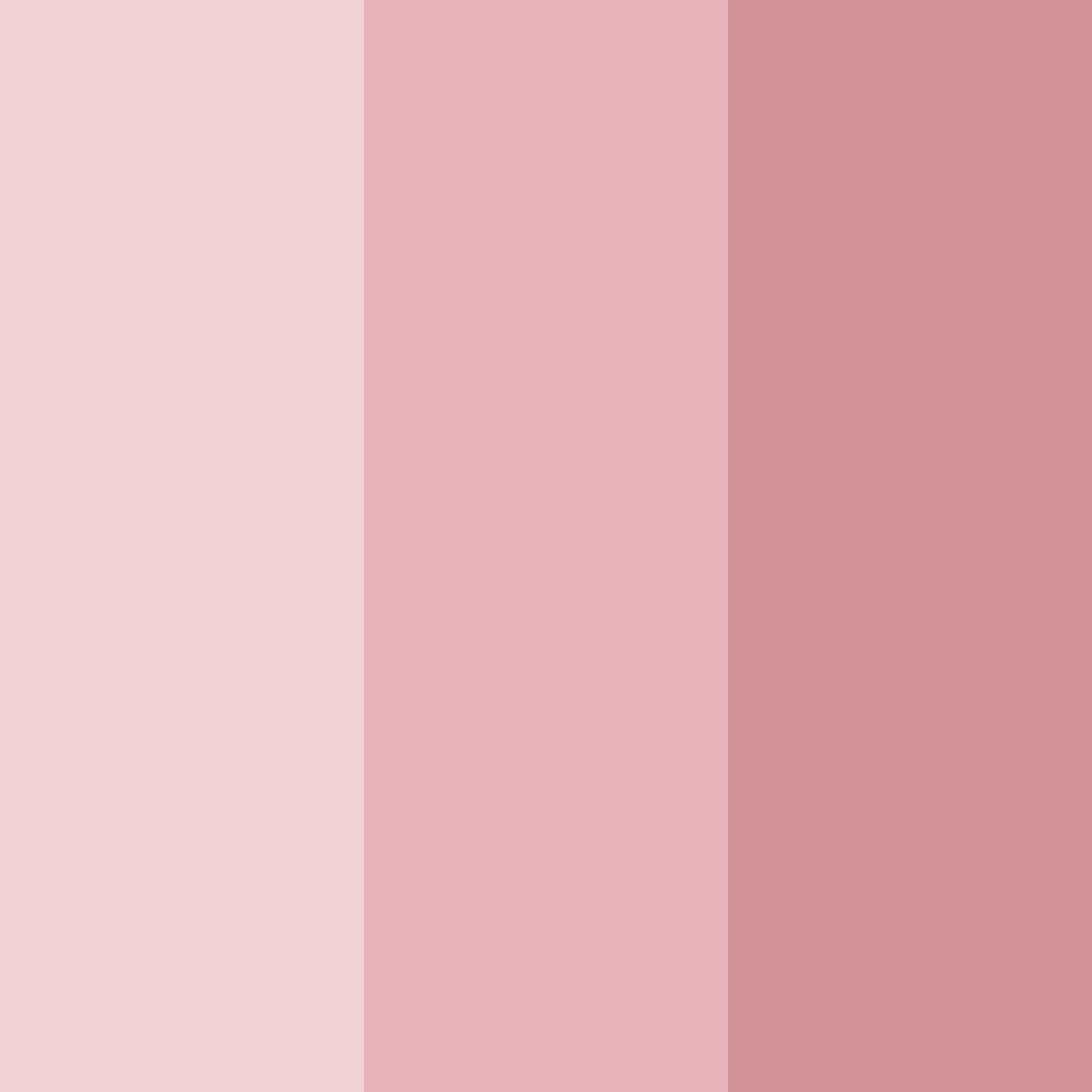 Download blush harmony color palette PNG image (square)