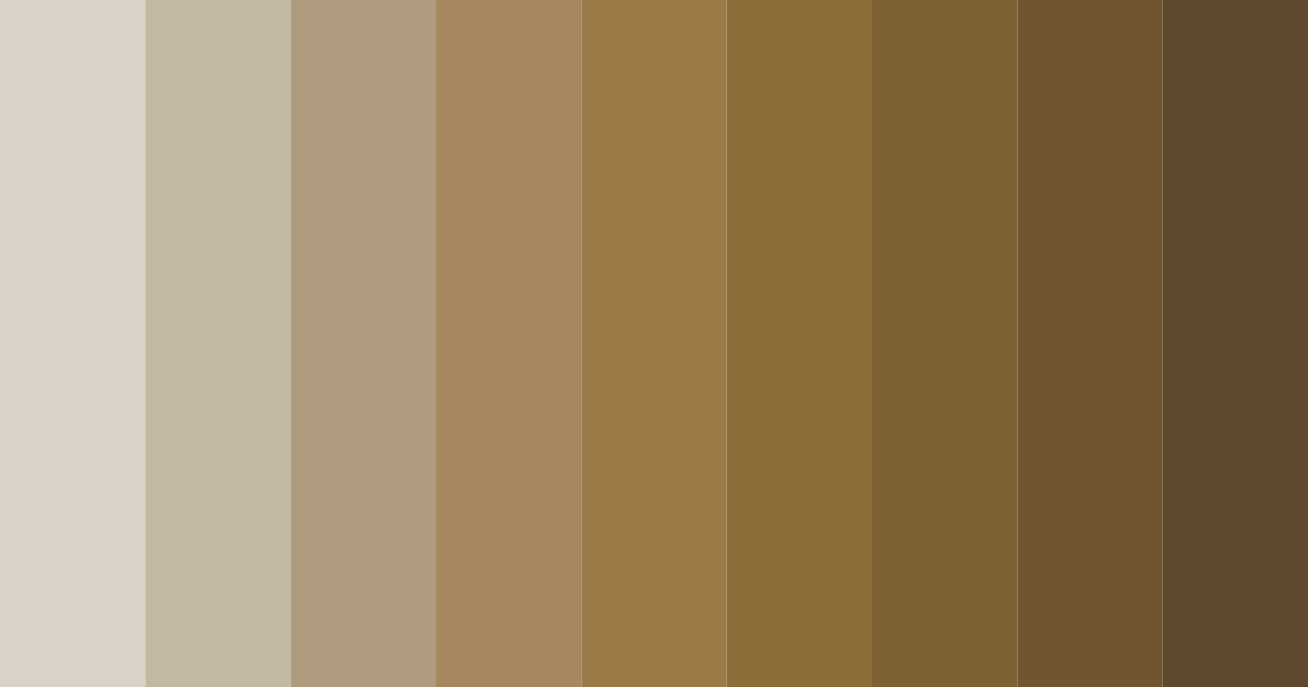 Download brown tones color palette PNG image (landscape)