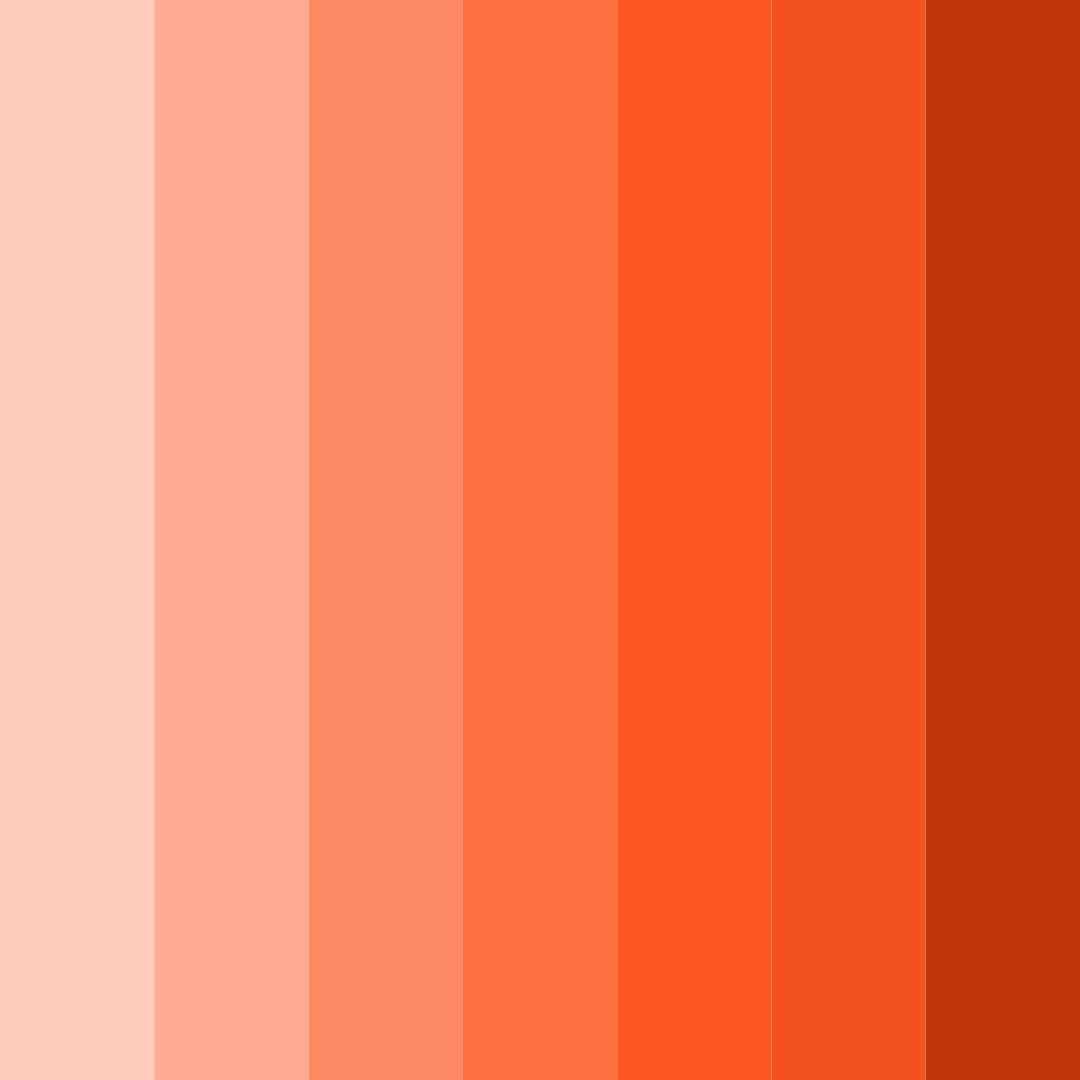 Download sunset embrace color palette PNG image (square)