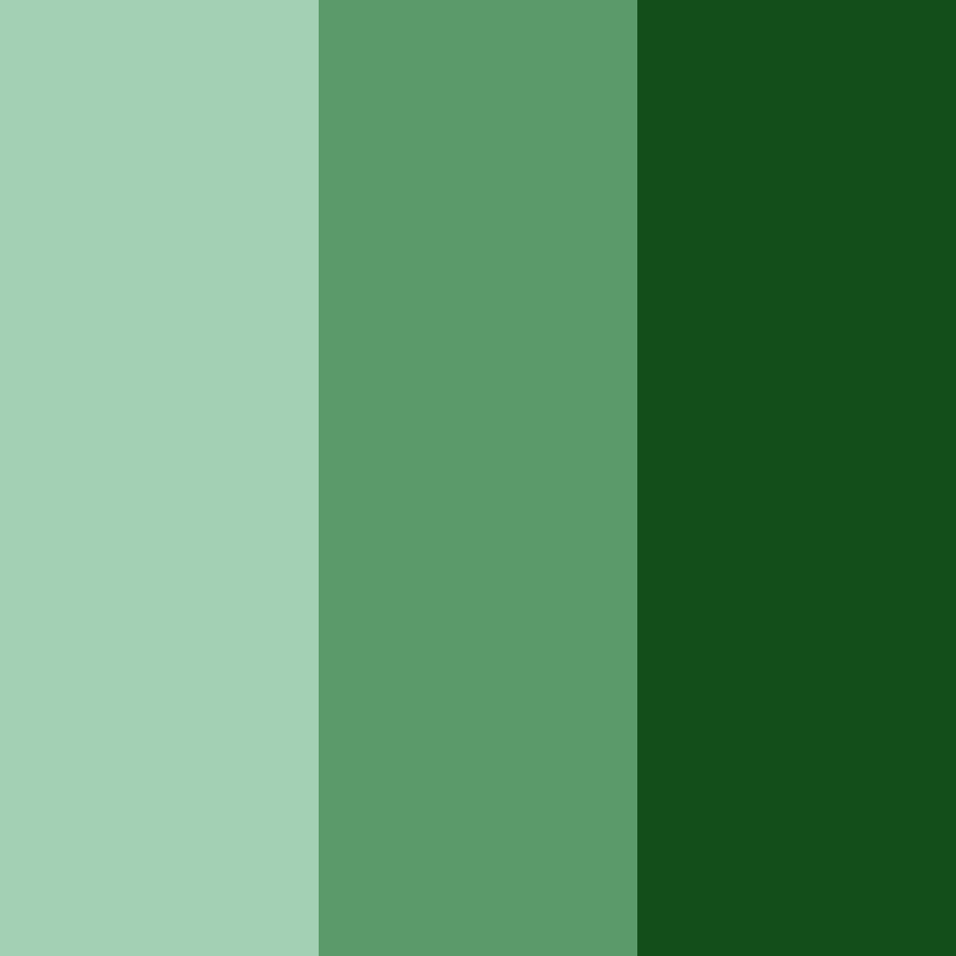 Download emerald forest serenity color palette PNG image (square)