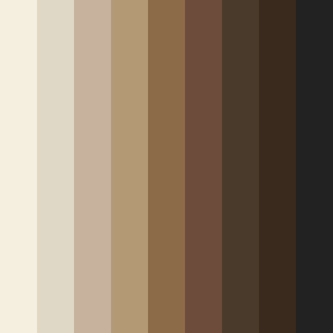 Download brown coconut milk color palette PNG image (square)