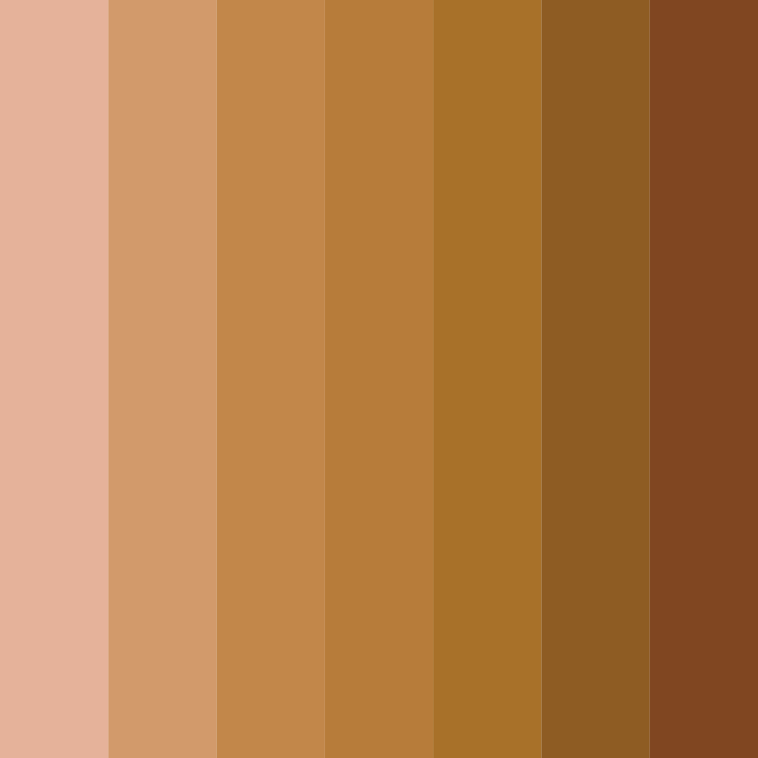 Download brown shades color palette PNG image (square)