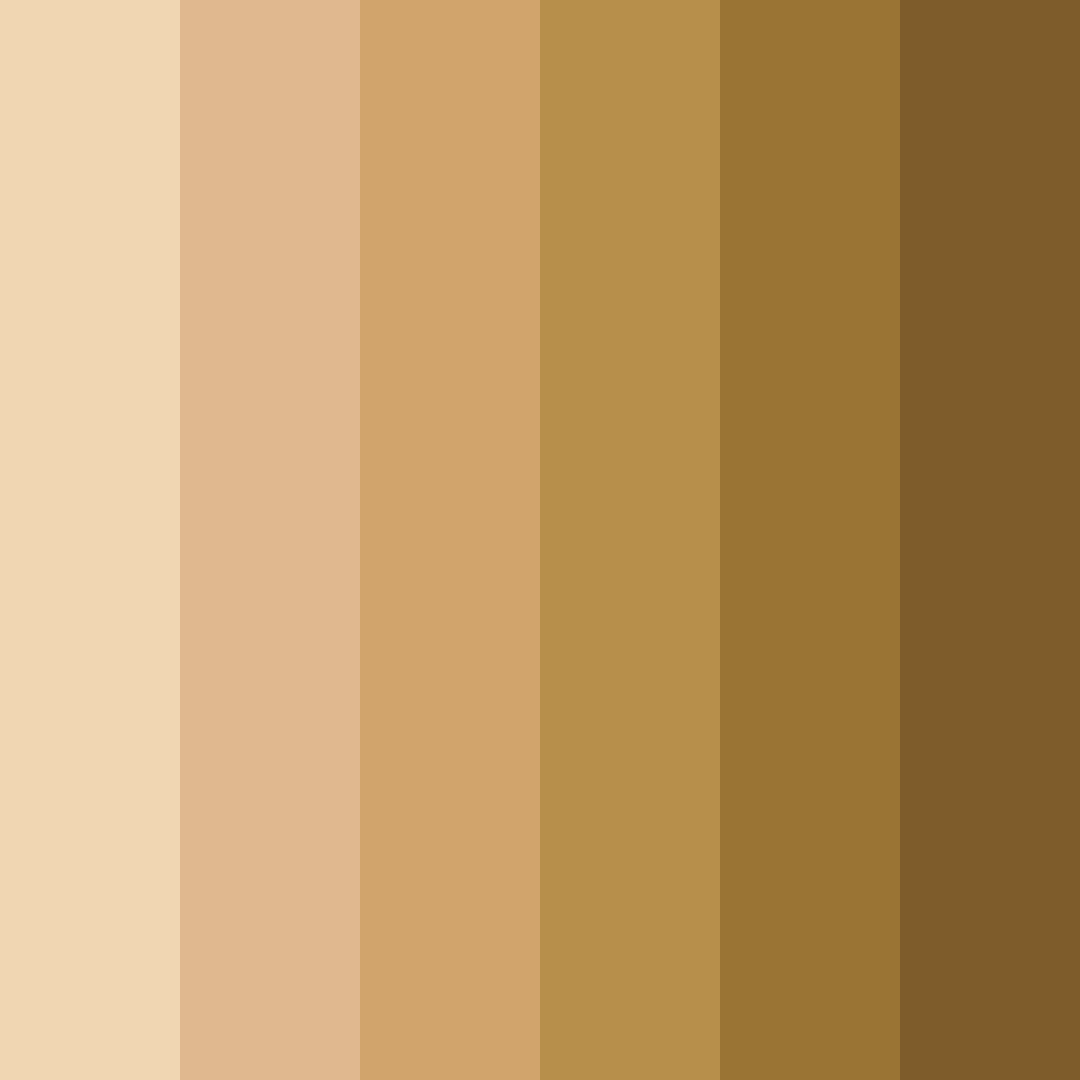 Download brown shades color palette PNG image (square)