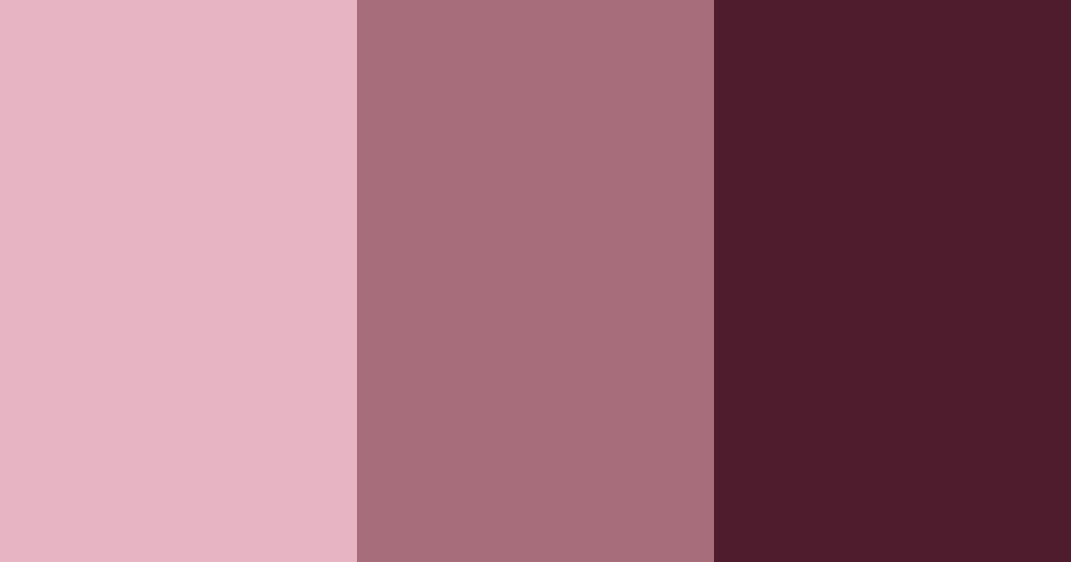 Download burgundy blush color palette PNG image (landscape)