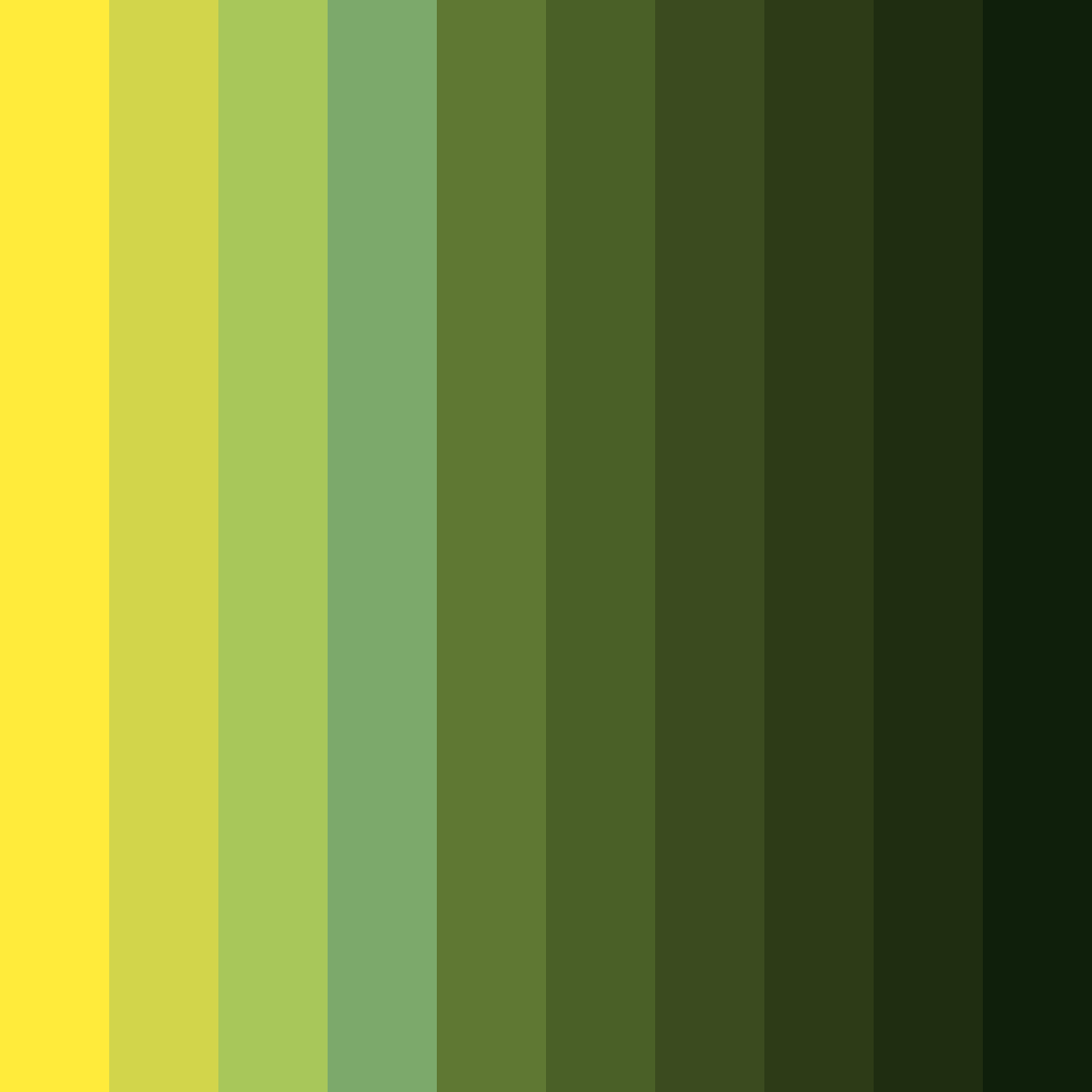 Download sunlit forest color palette PNG image (square)