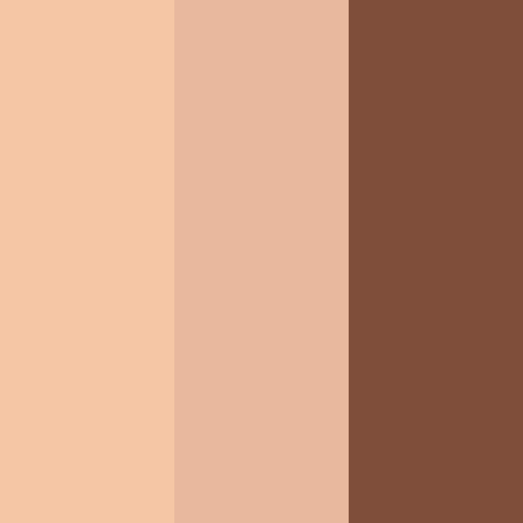 Download caramel bliss color palette PNG image (square)