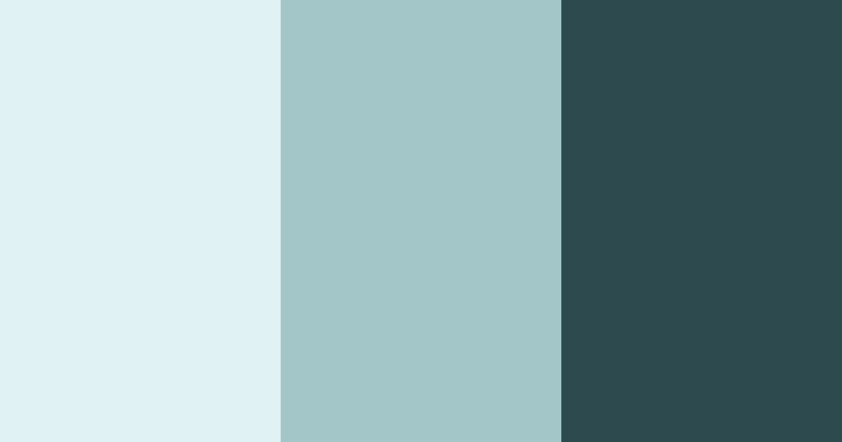 Download frosty dawn bear color palette PNG image (landscape)