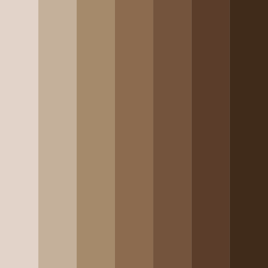 Download brown shades color palette PNG image (square)