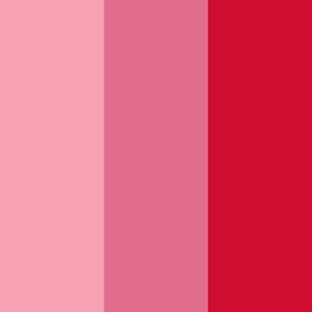 Download red blossom color palette PNG image (square)
