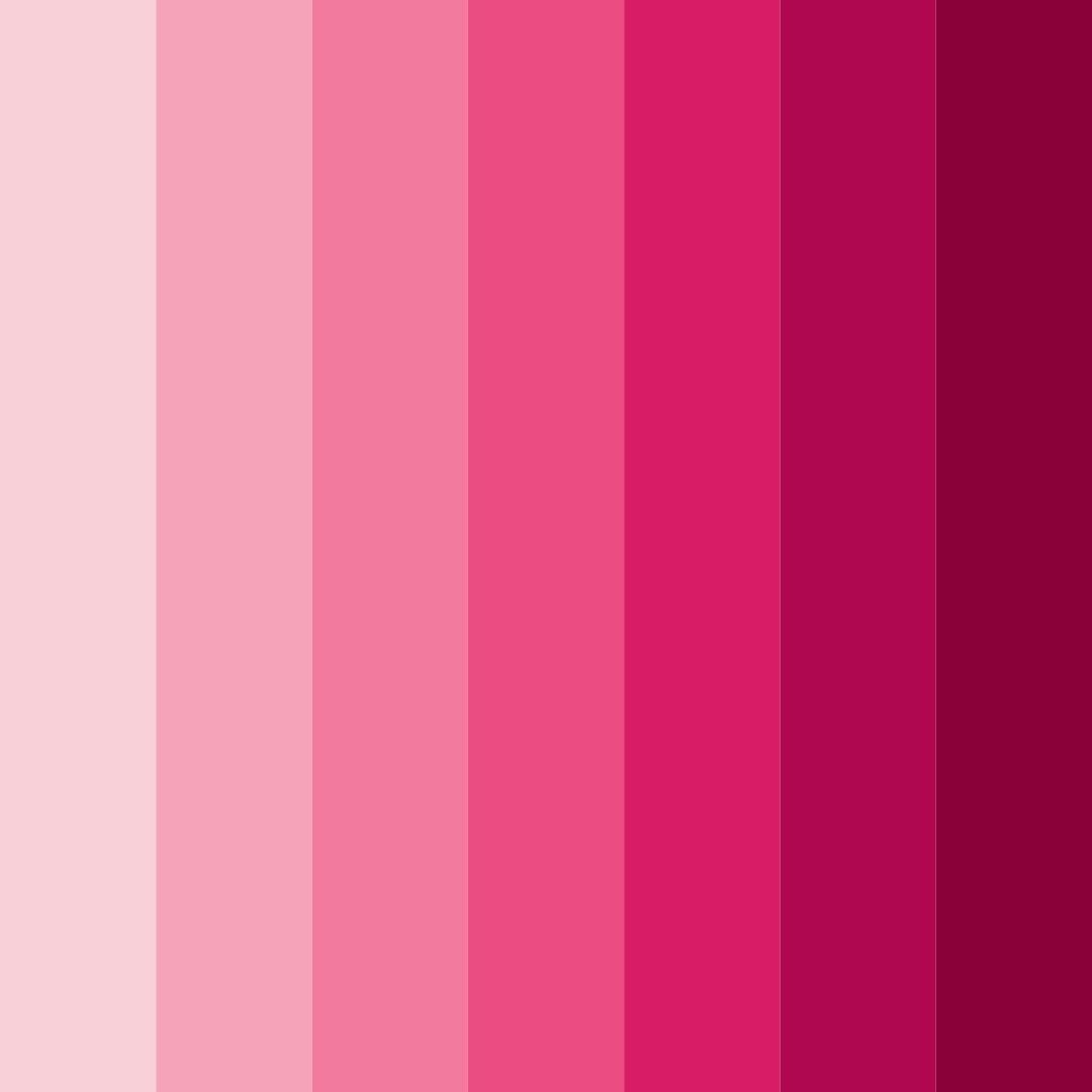 Download blossom burst color palette PNG image (square)