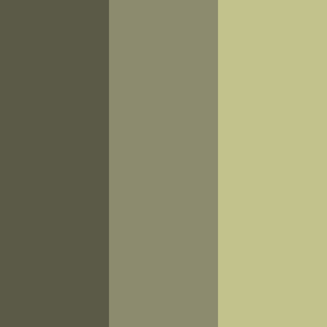 Download mossy midnight color palette PNG image (square)