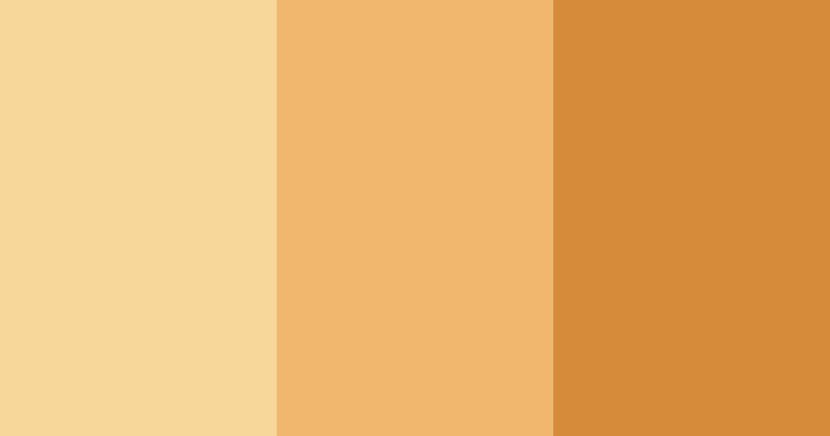 Download feline sunbeam color palette PNG image (landscape)
