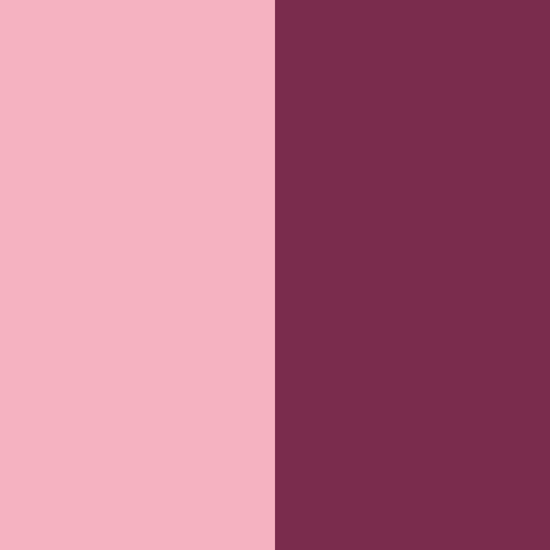 Download pink madness color palette PNG image (square)