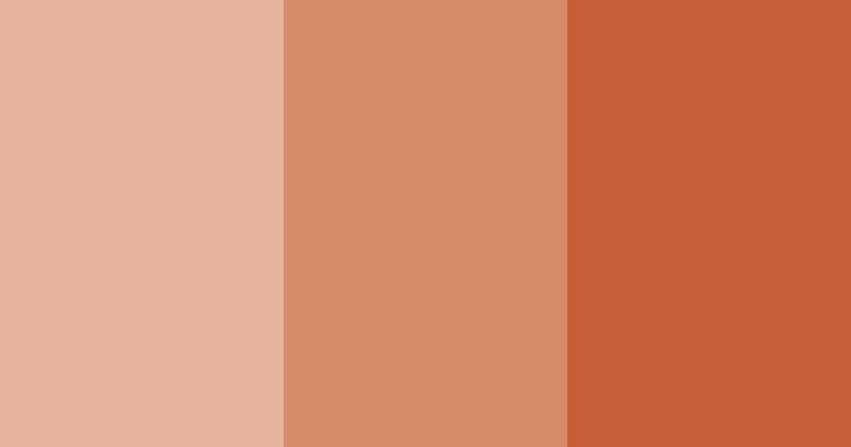 Download terracotta sunset color palette PNG image (landscape)
