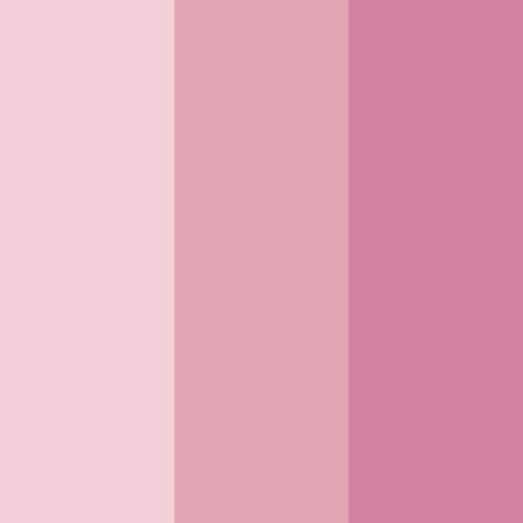 Download muted pink color palette PNG image (square)