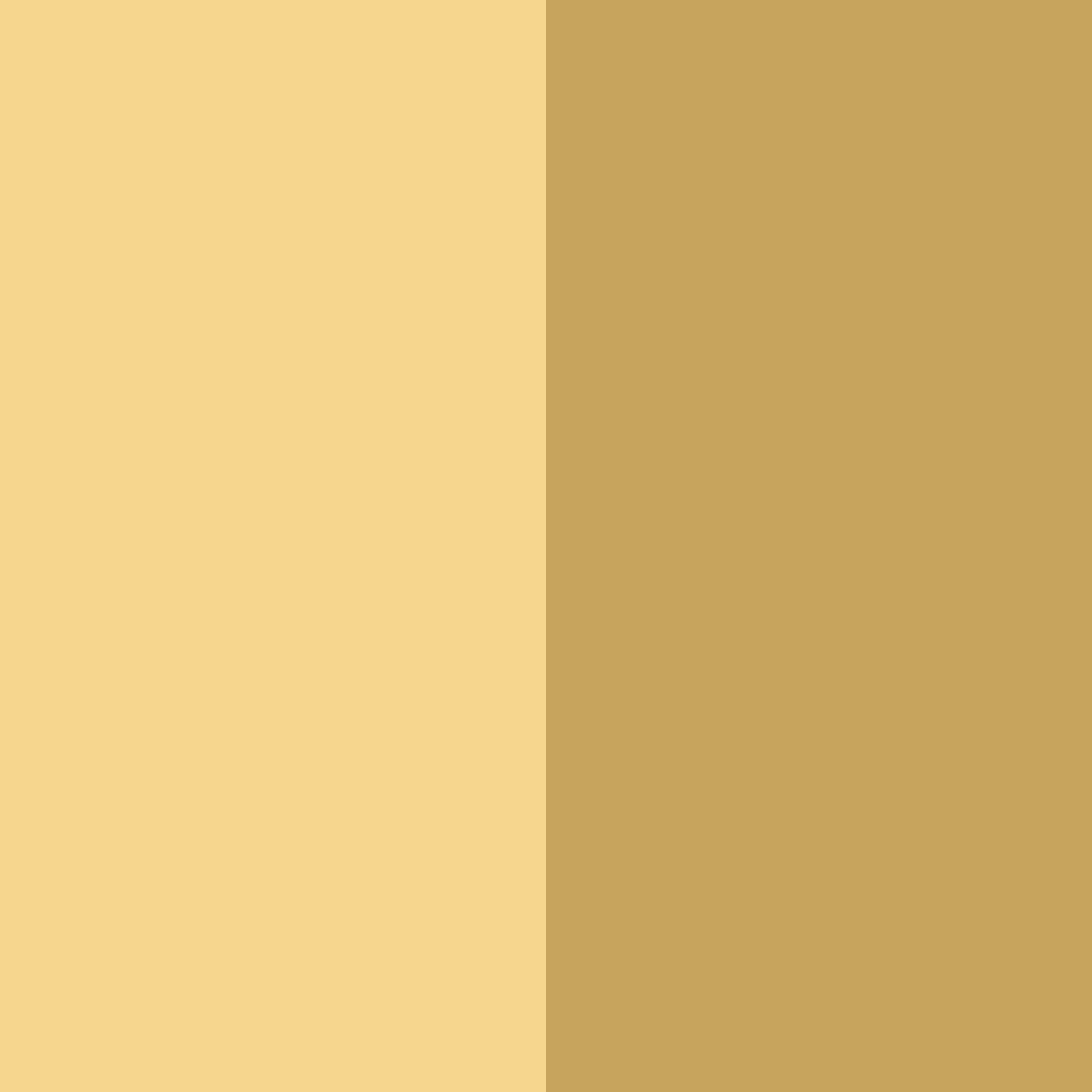 Download gold treasure color palette PNG image (square)
