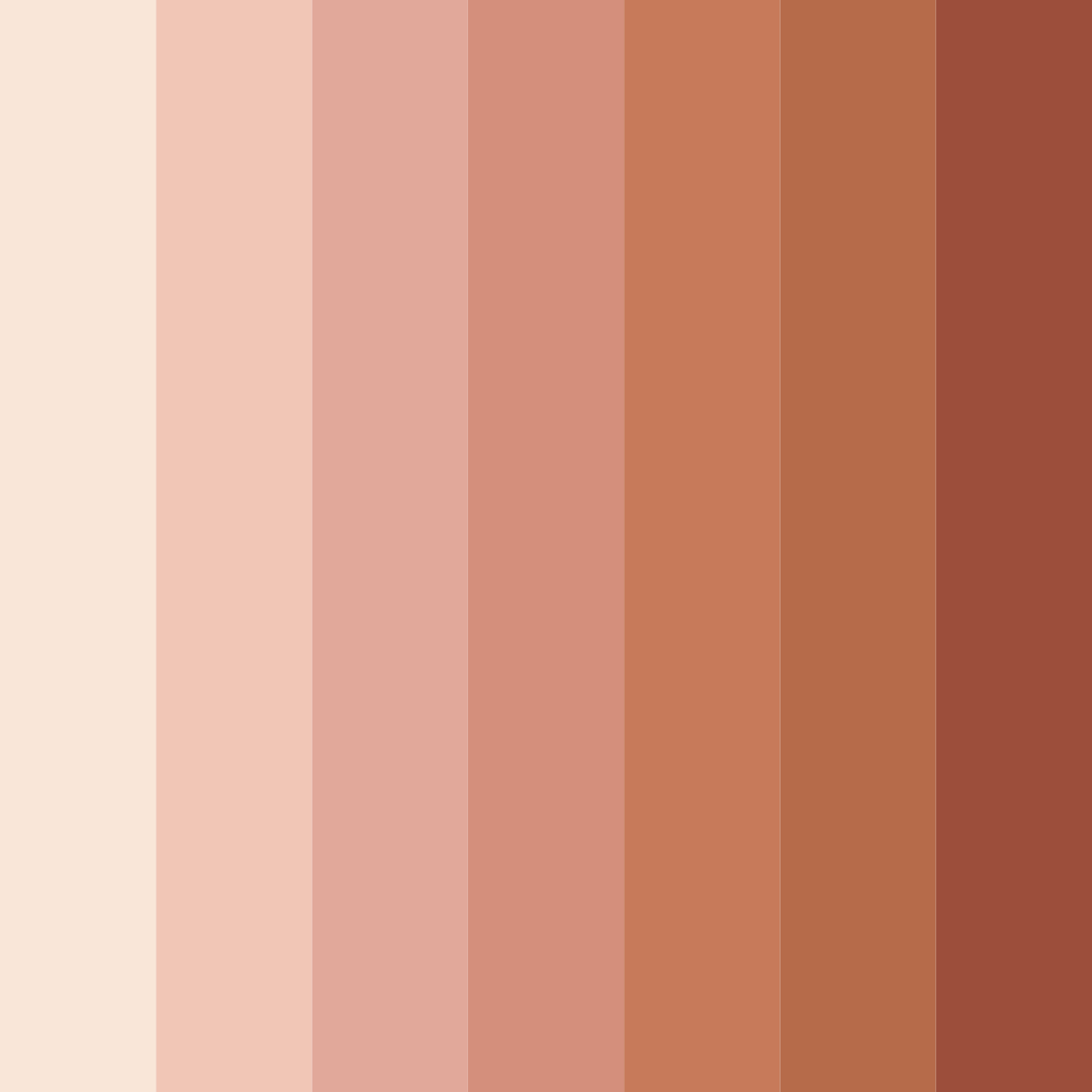 Download blush of elegance color palette PNG image (square)