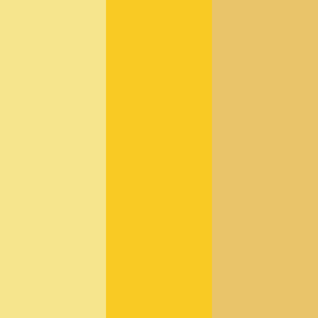 Download sunlit meadow color palette PNG image (square)