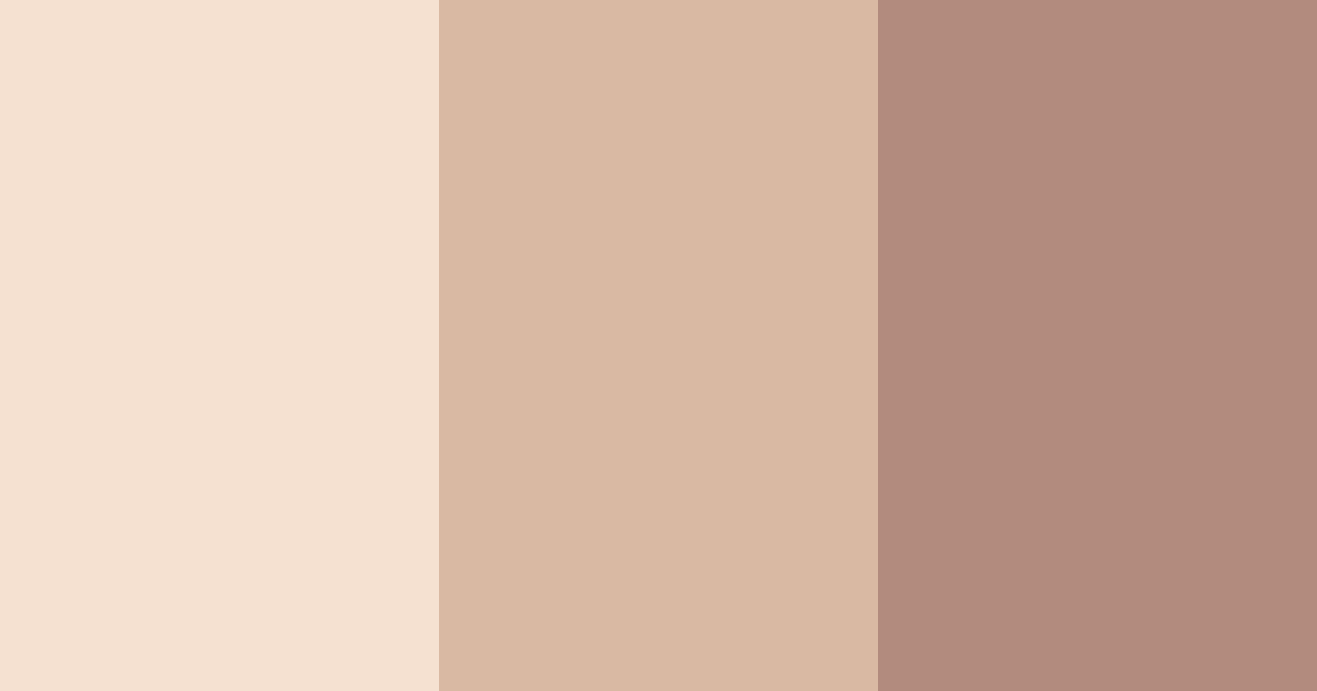 Download cinnamon comfort color palette PNG image (landscape)