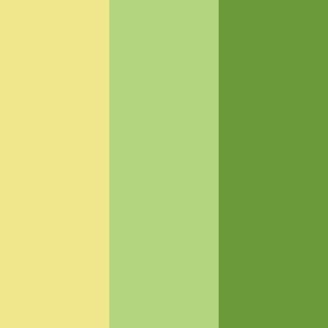 Download meadow sunrise color palette PNG image (square)