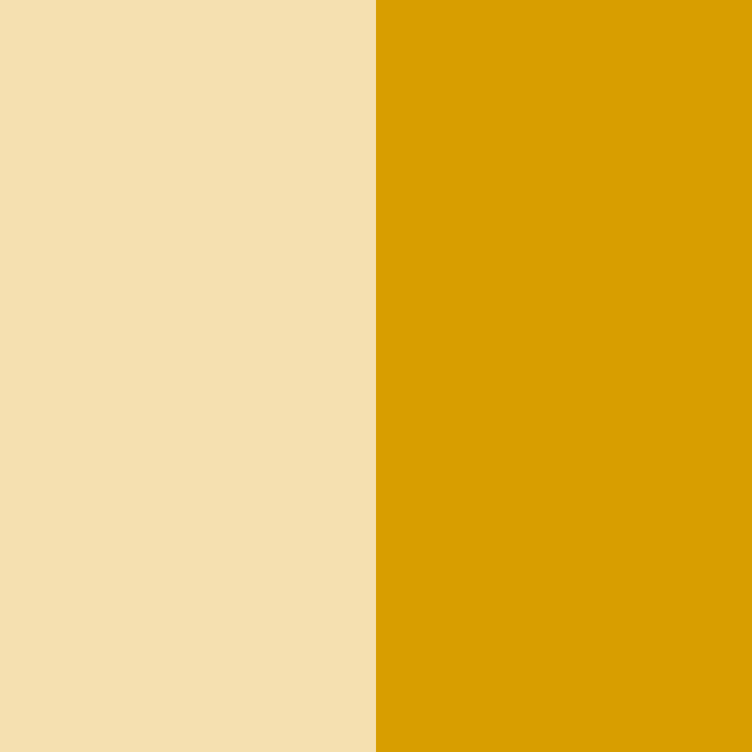 Download golden sand color palette PNG image (square)