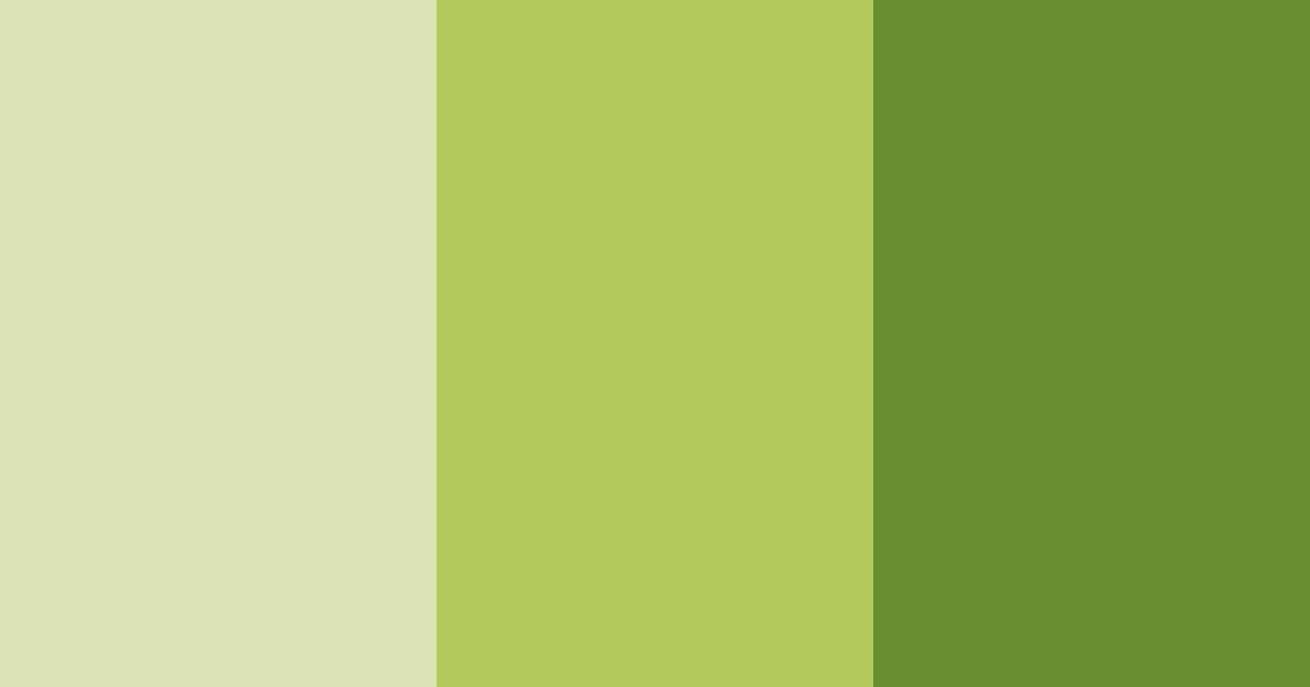Download green avocado color palette PNG image (landscape)