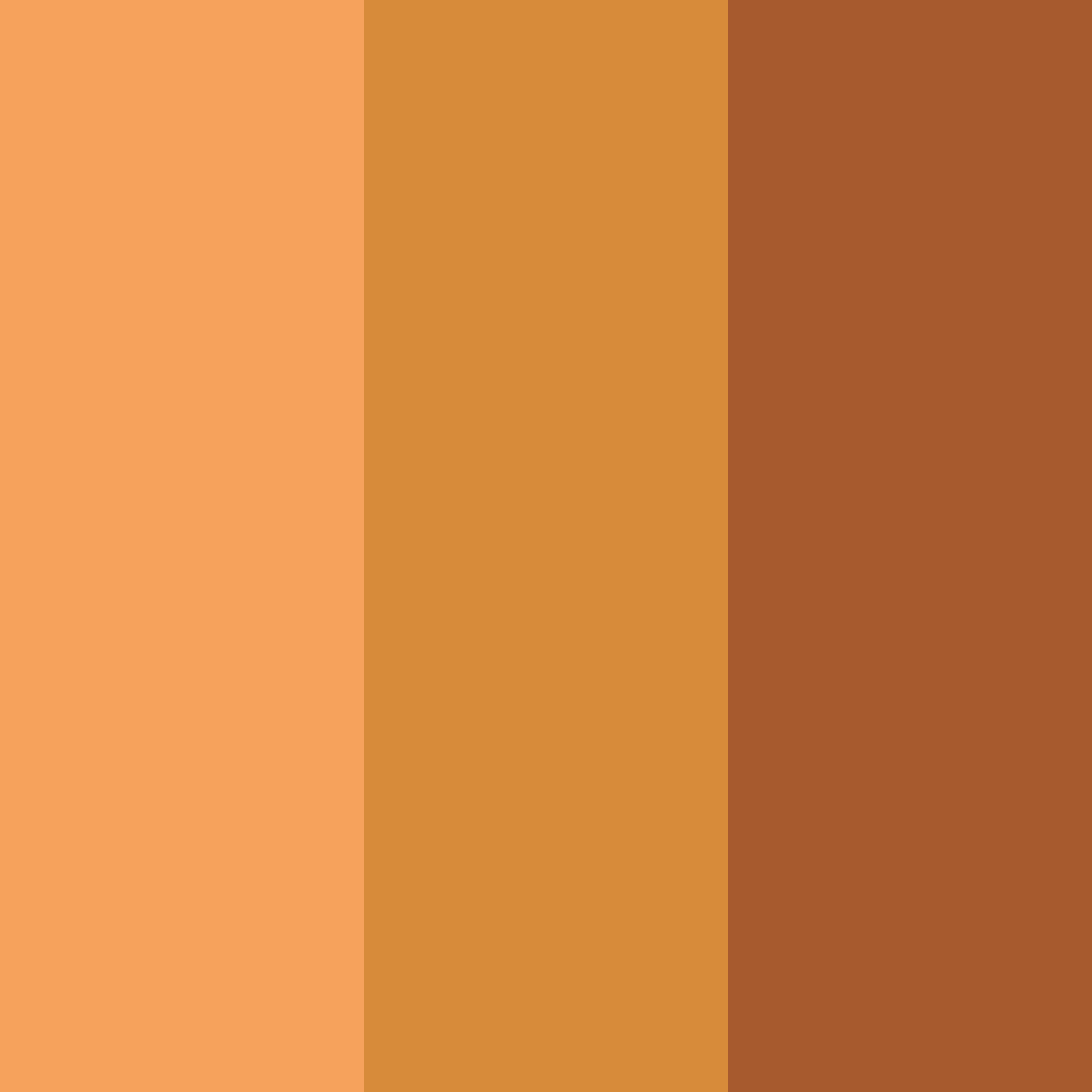 Download ginger whiskers color palette PNG image (square)
