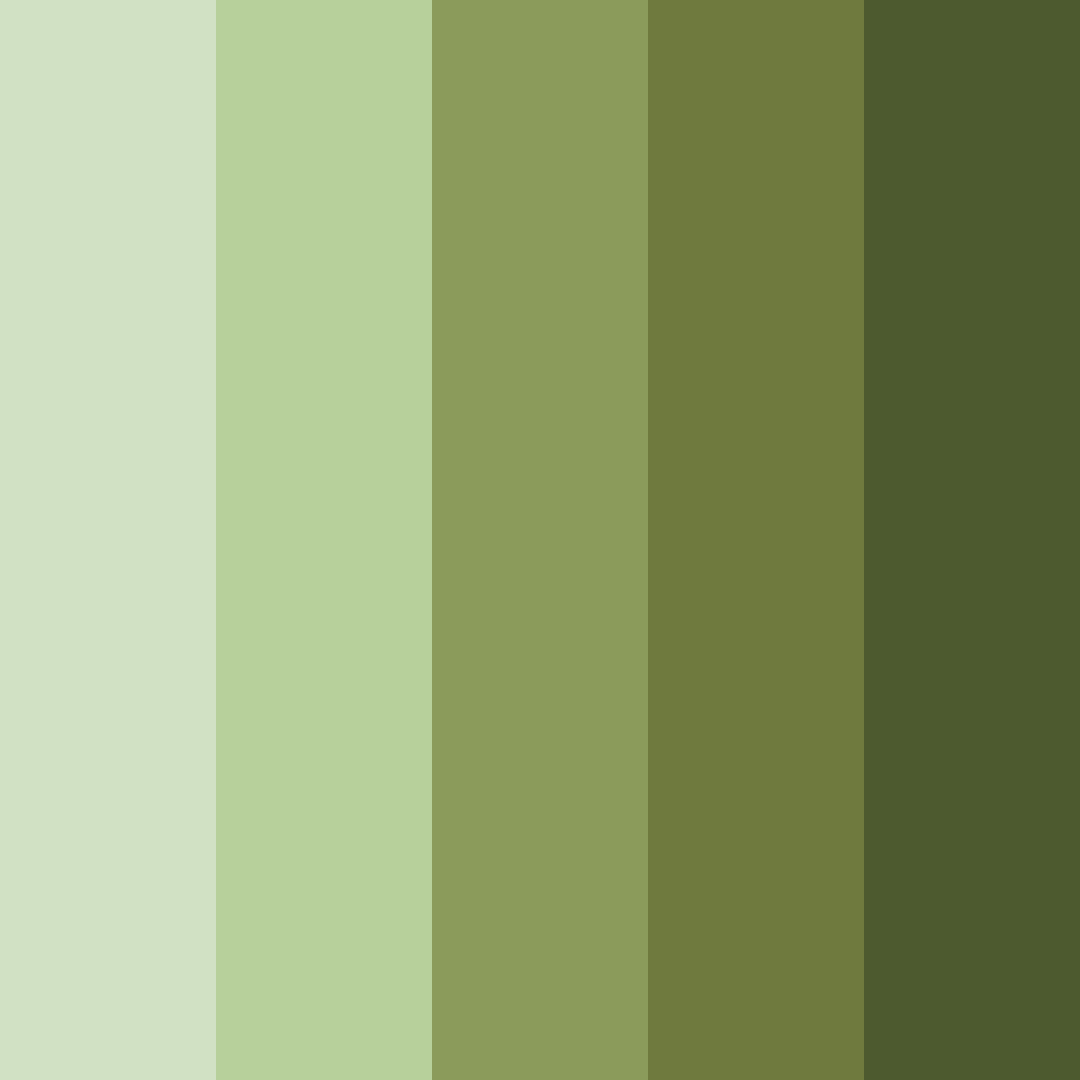Download olive orchard serenity color palette PNG image (square)
