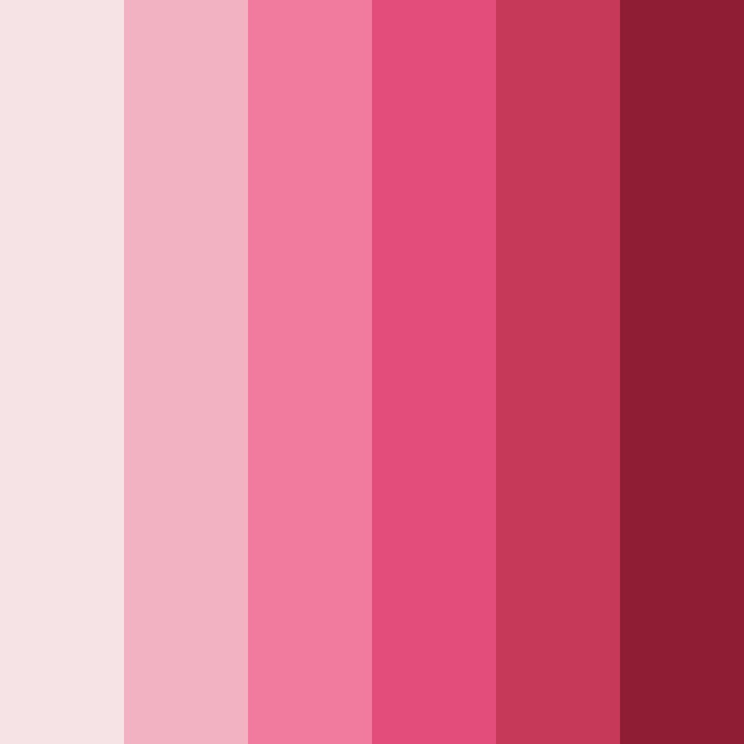 Download tulip blossom burst color palette PNG image (square)